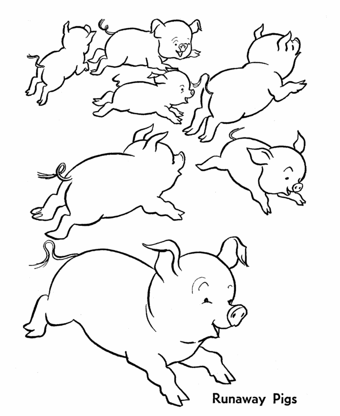 Farm Animal Coloring Pages | Printable Wild Runaway Pigs Coloring