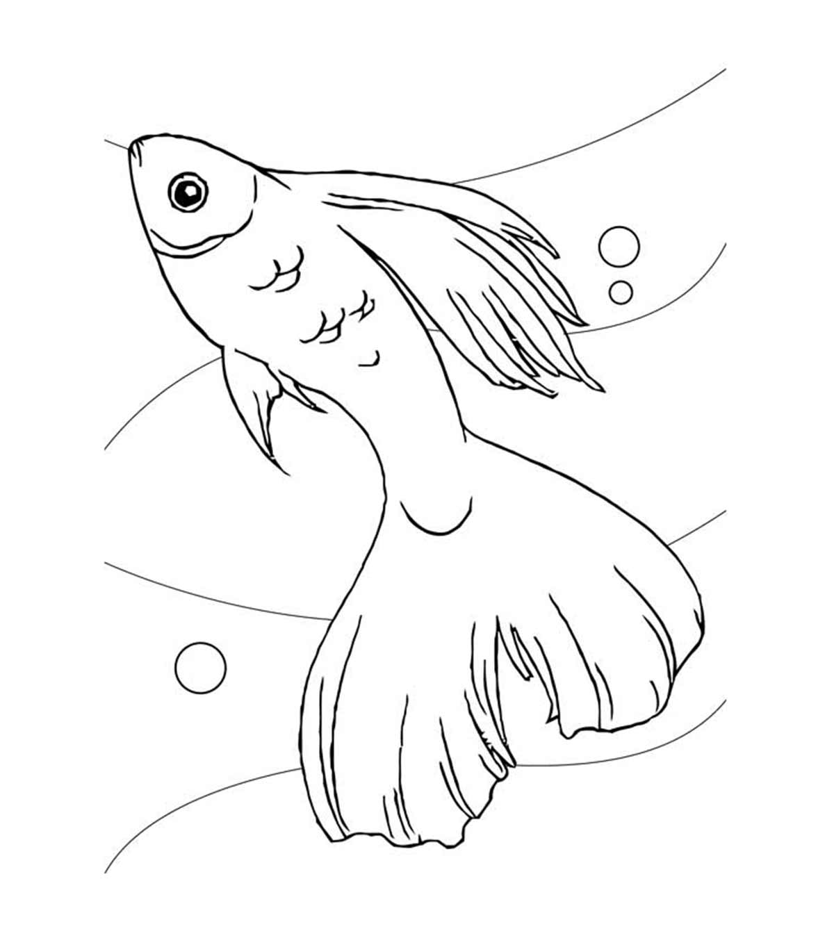 Top 25 Free Printable Koi Fish Coloring Pages Online