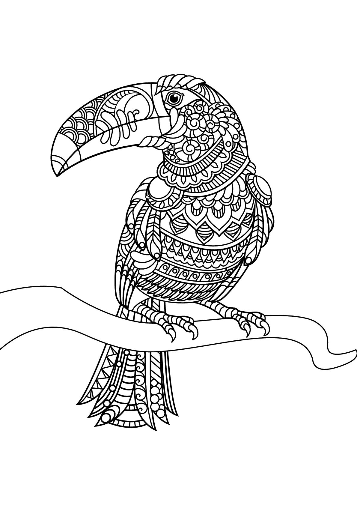 coloring book ~ Birdng Pages For Kids Cute Free To Print Printable Robin  Tremendous Bird Coloring Pages For Kids Image Ideas. Cute Bird Coloring  Pages For Kids Christmas. Cute Bird Coloring Pages