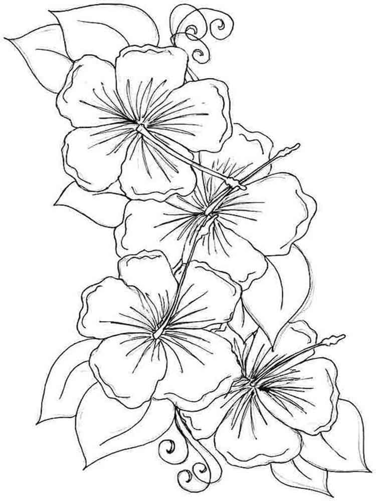 Hibiscus Flower coloring pages. Download and print Hibiscus Flower ...