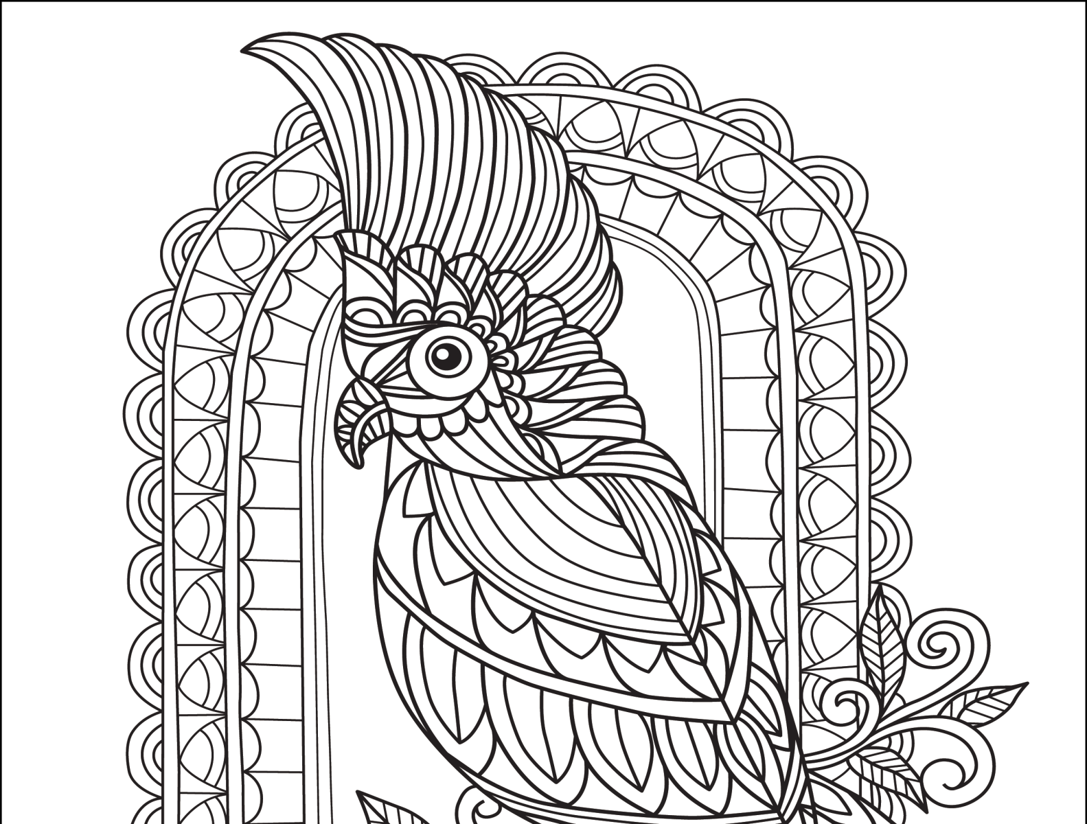 Fresh Adults and kids Birds Coloring book pages by dr anarul islam on  Dribbble