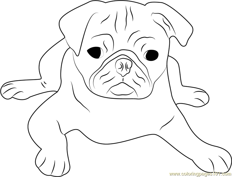 Cute Pug Face Coloring Page - Free Dog Coloring Pages ...