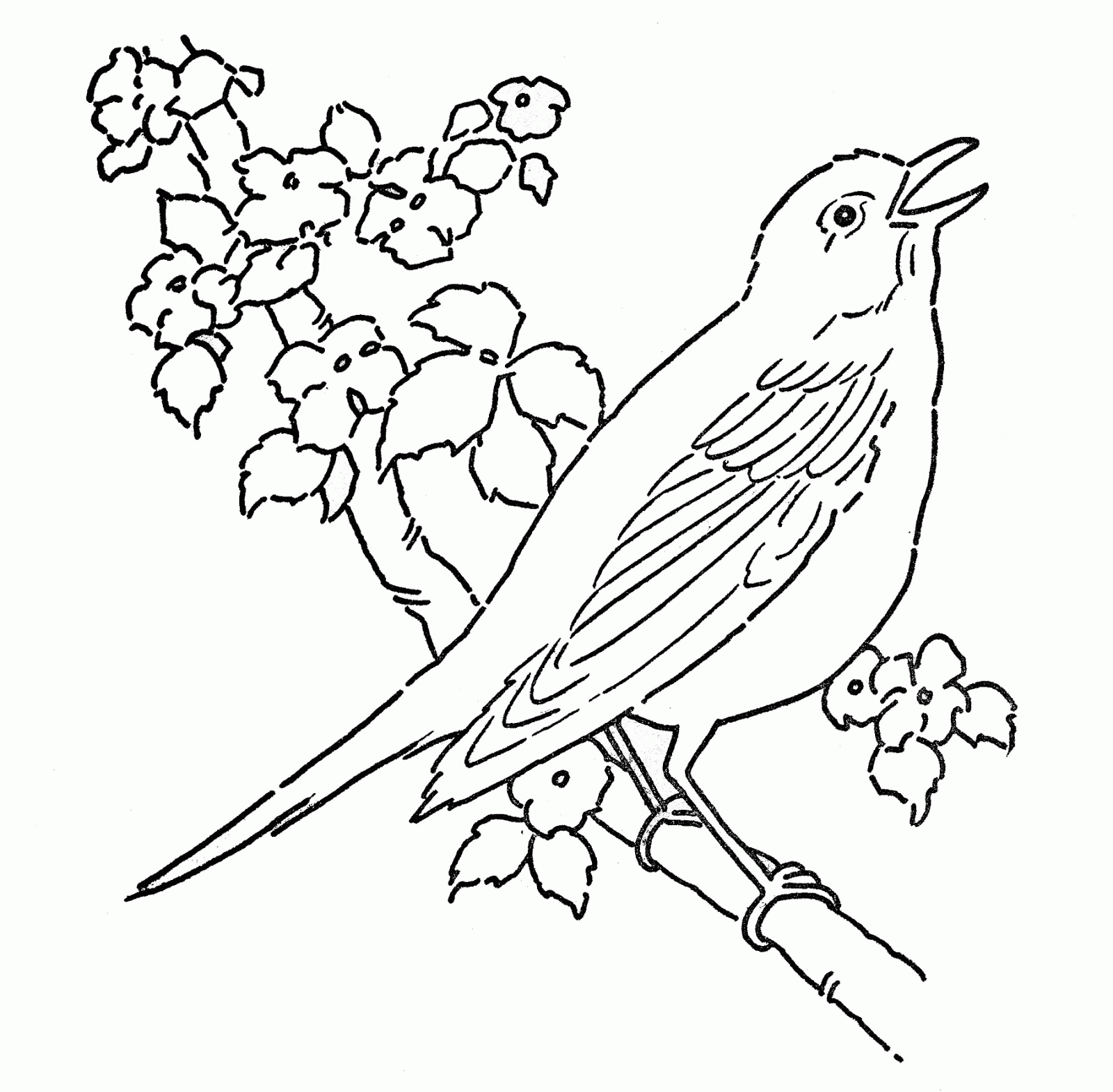 Line Art - Coloring Page - Bird with Blossoms - The Graphics Fairy