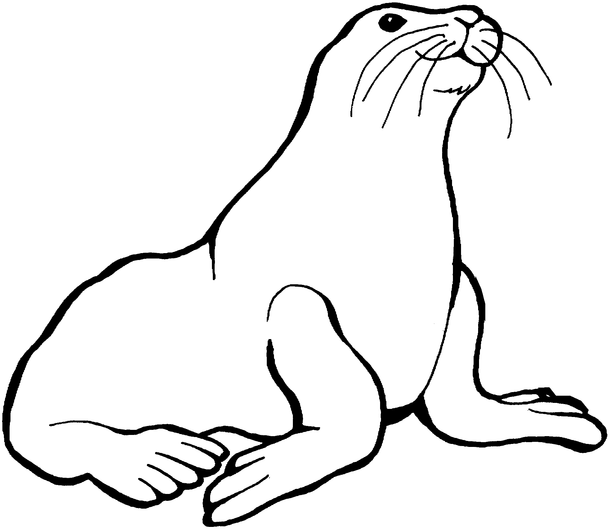 Sea Lions With Long Mustache Coloring Pages For Kids #eJw ...