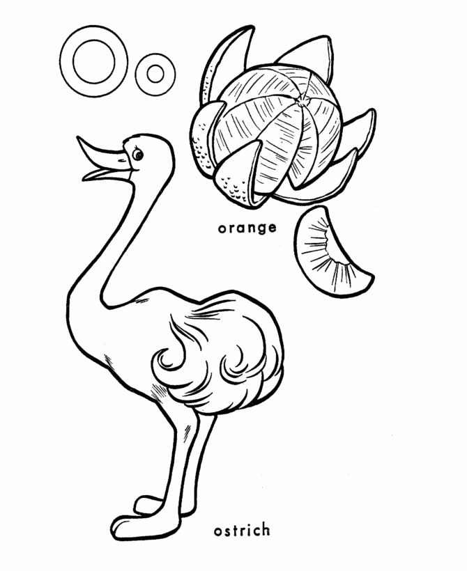 ABC Alphabet Coloring Sheets - O is for Ostrich / Orange