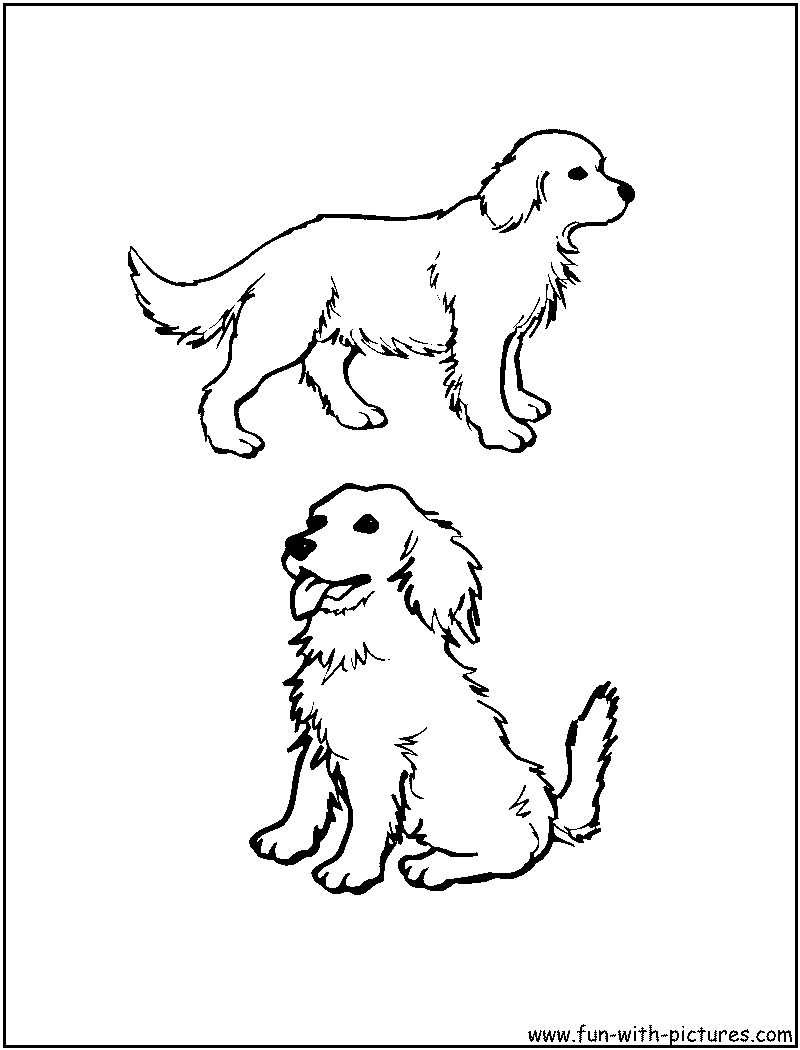 7 Pics of Dogs Golden Retriever Coloring Pages Realistic - Golden ...