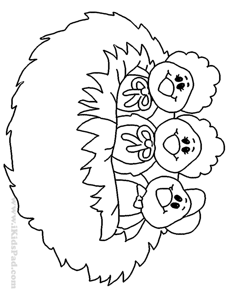 10 Pics of Owl Nest Coloring Page - Owl Coloring Page, Owl ...