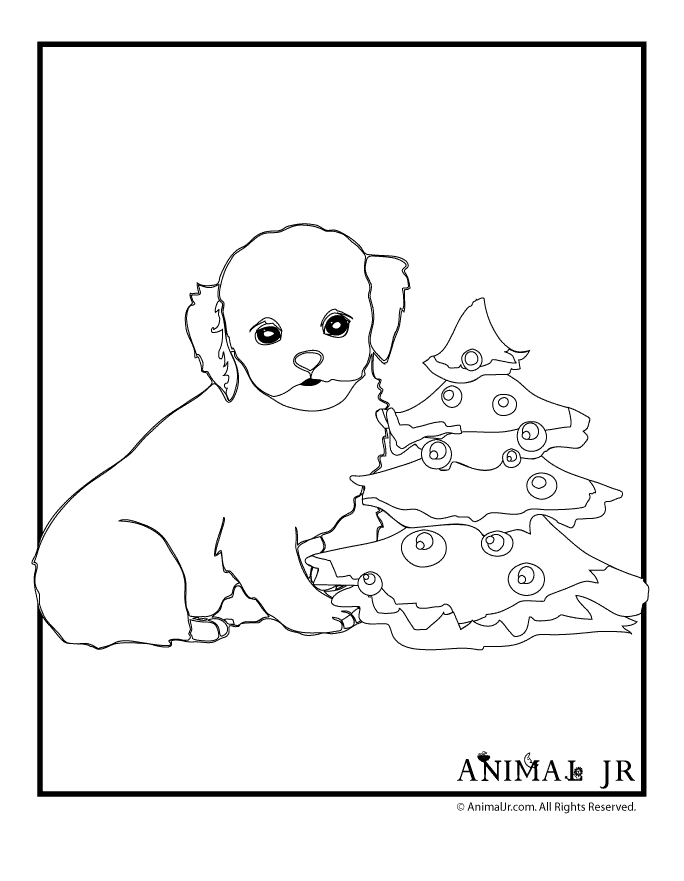 Christmas Puppy Coloring Page 2 | Animal Jr.