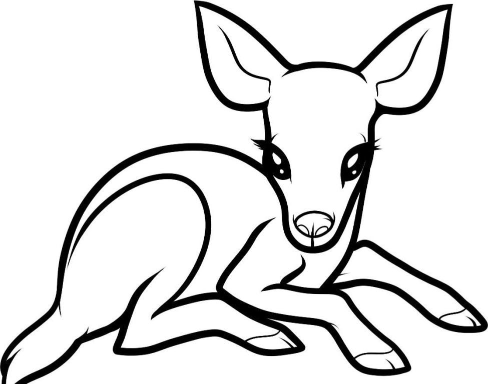 Baby Deer Coloring Pages — New Coloring Pages Collections : New ...