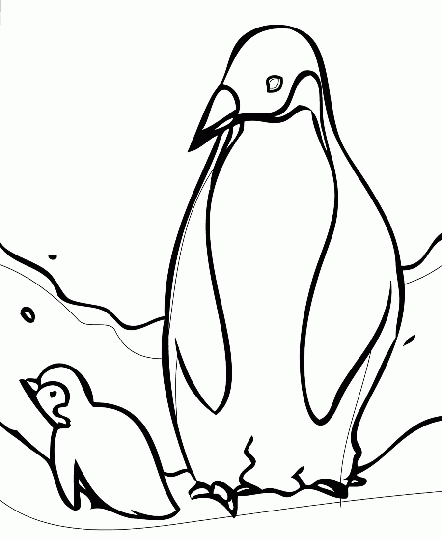 cute baby penguin coloring pages | Only Coloring Pages