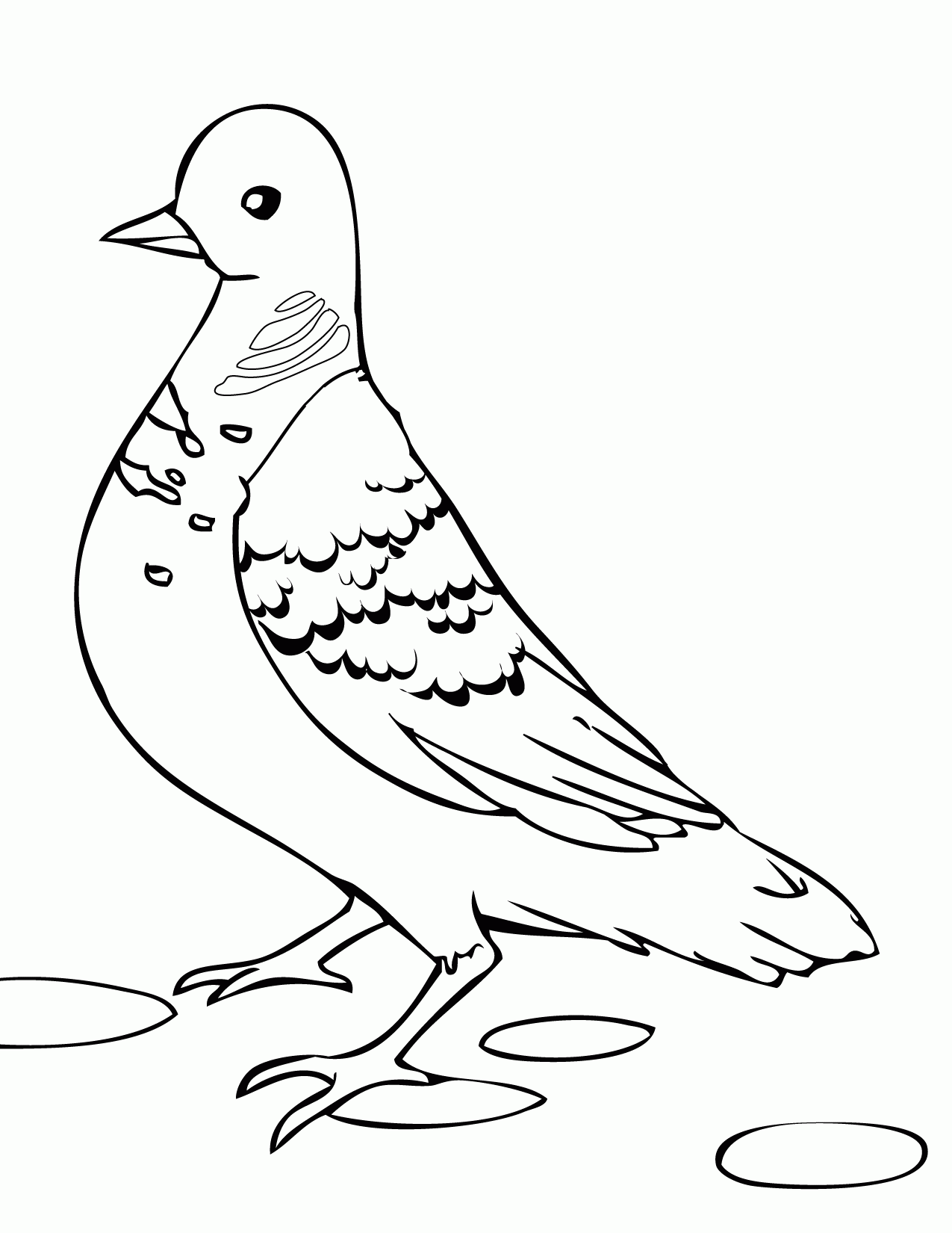 Turtle Dove Coloring Page - Handipoints