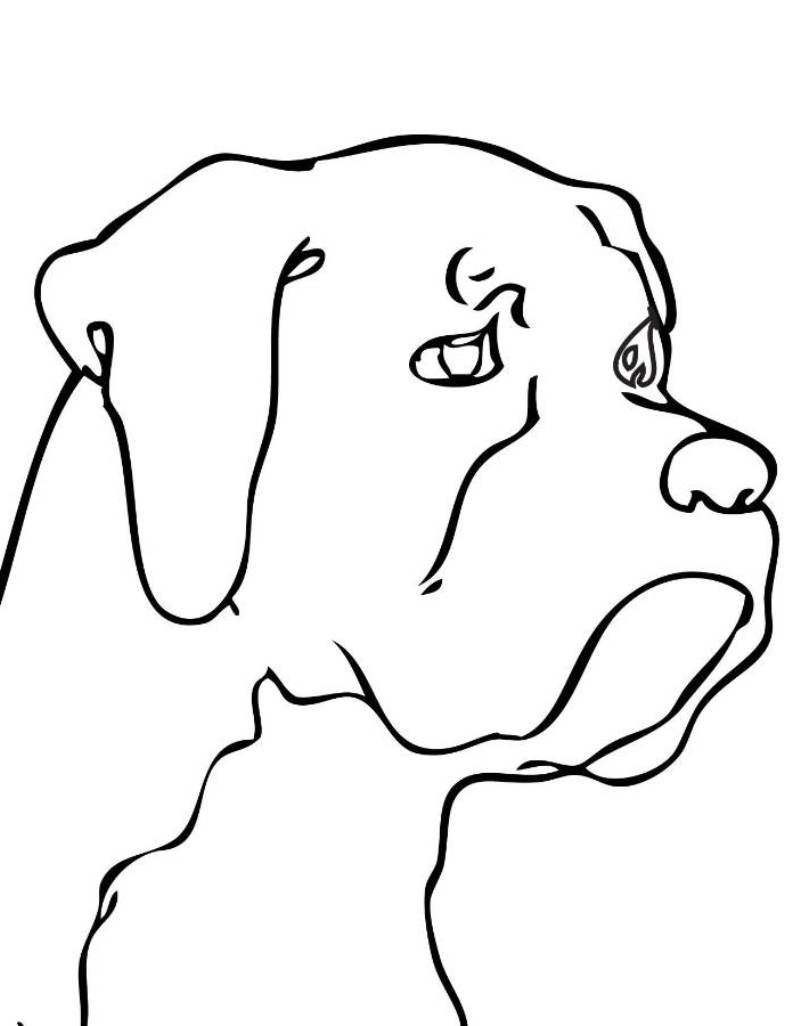 Animal Heads Coloring Pages - Сoloring Pages For All Ages