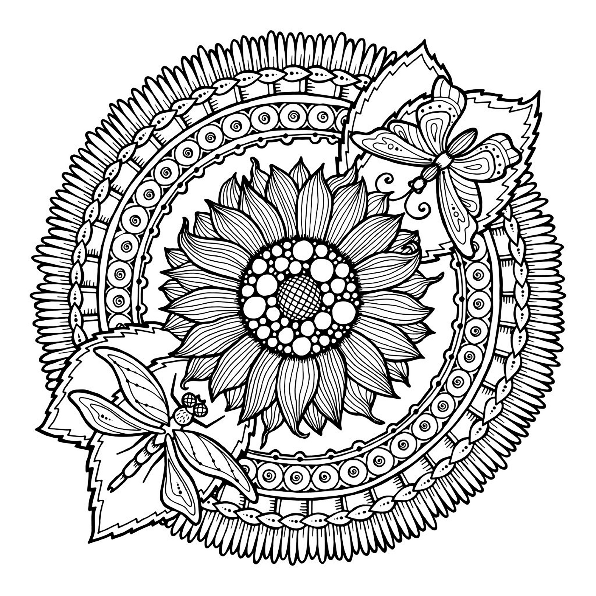 Mandala dragonfly and flowers - Mandalas Adult Coloring Pages