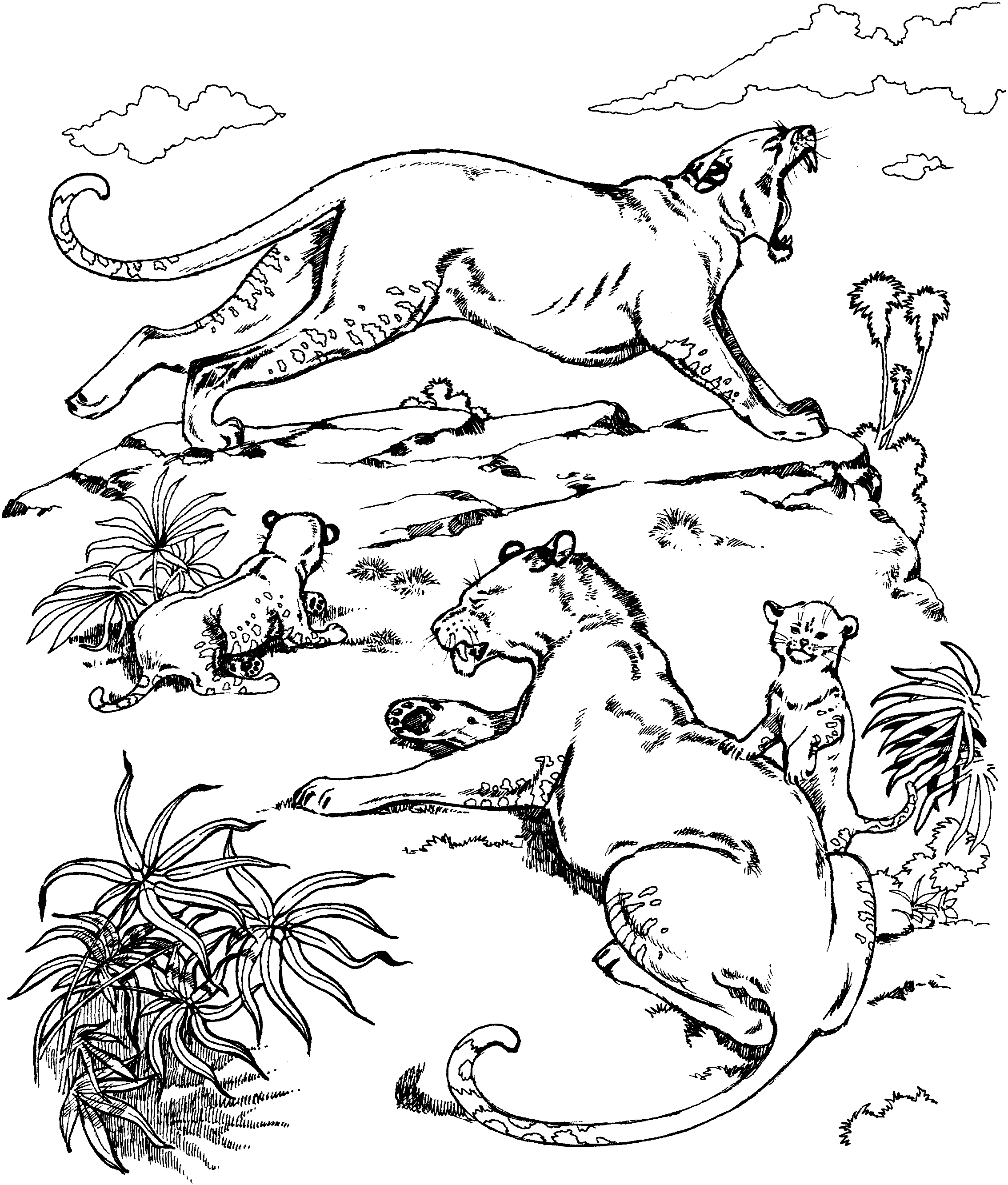 Free Cougar Coloring Pages