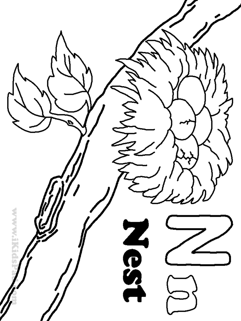 9 Pics of Coloring Pages Letter N Nest - Letter N Nest Coloring ...