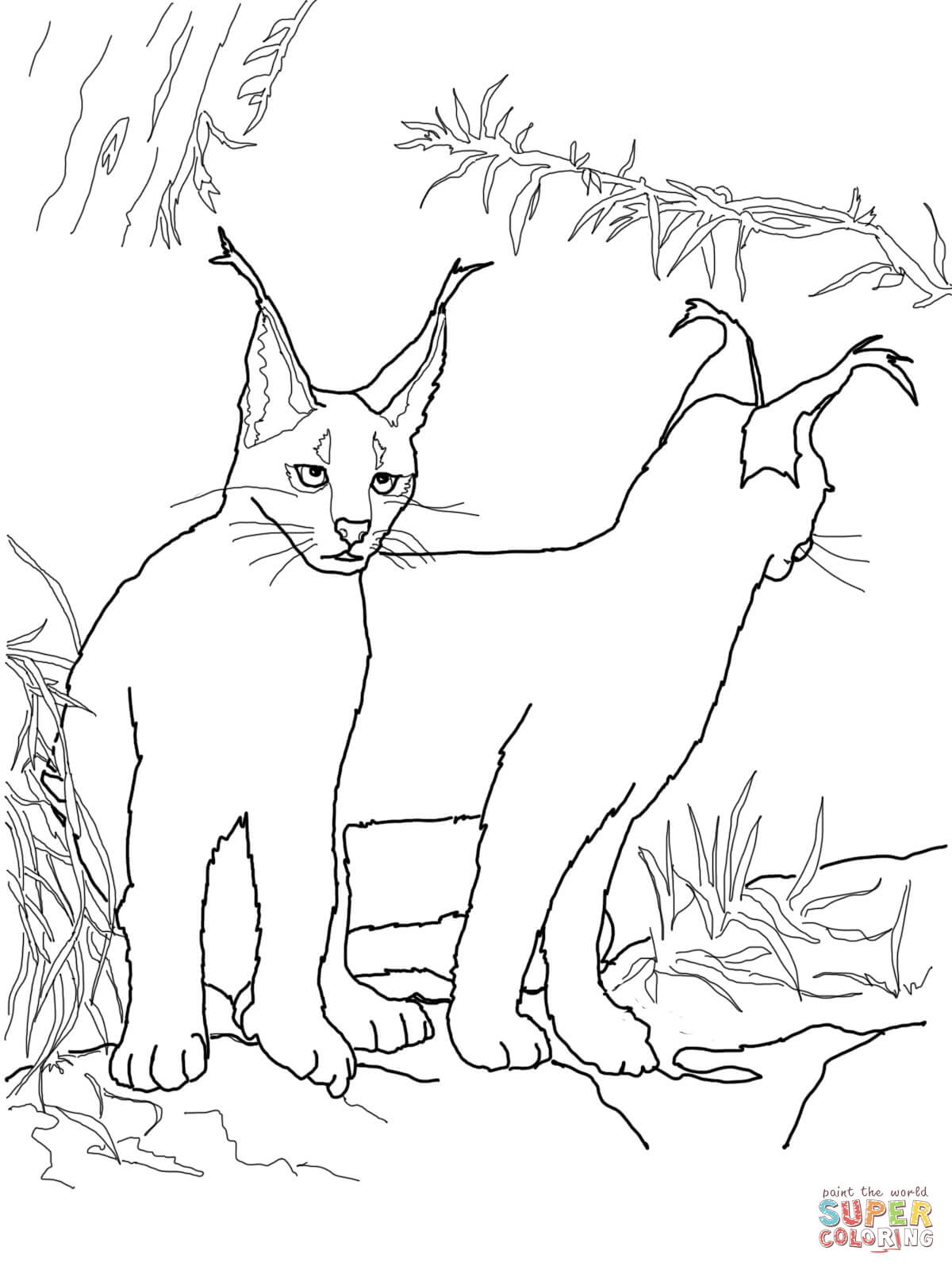 Caracal Kittens coloring page | Free Printable Coloring Pages