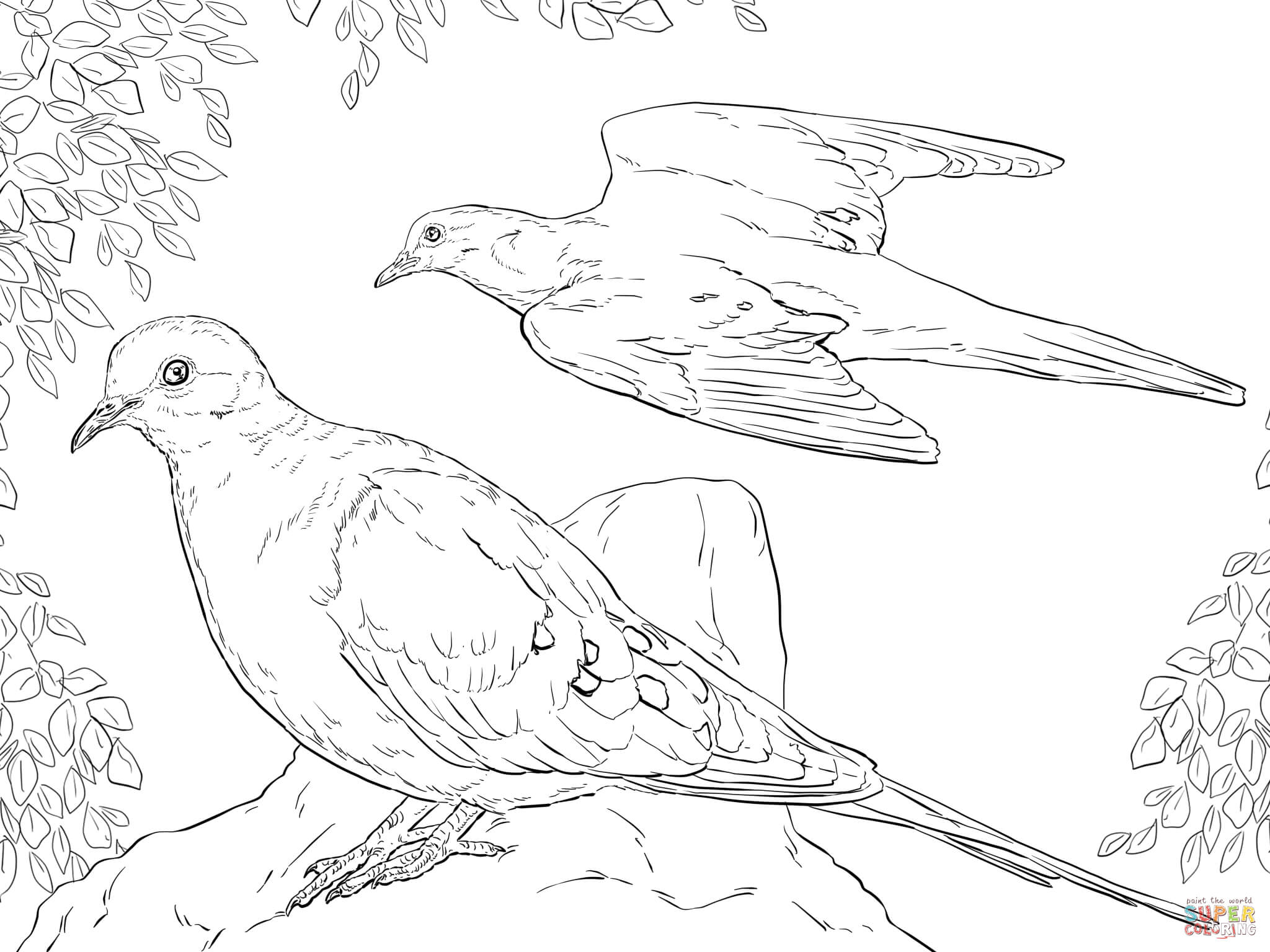Two Mourning Doves coloring page | Free Printable Coloring Pages