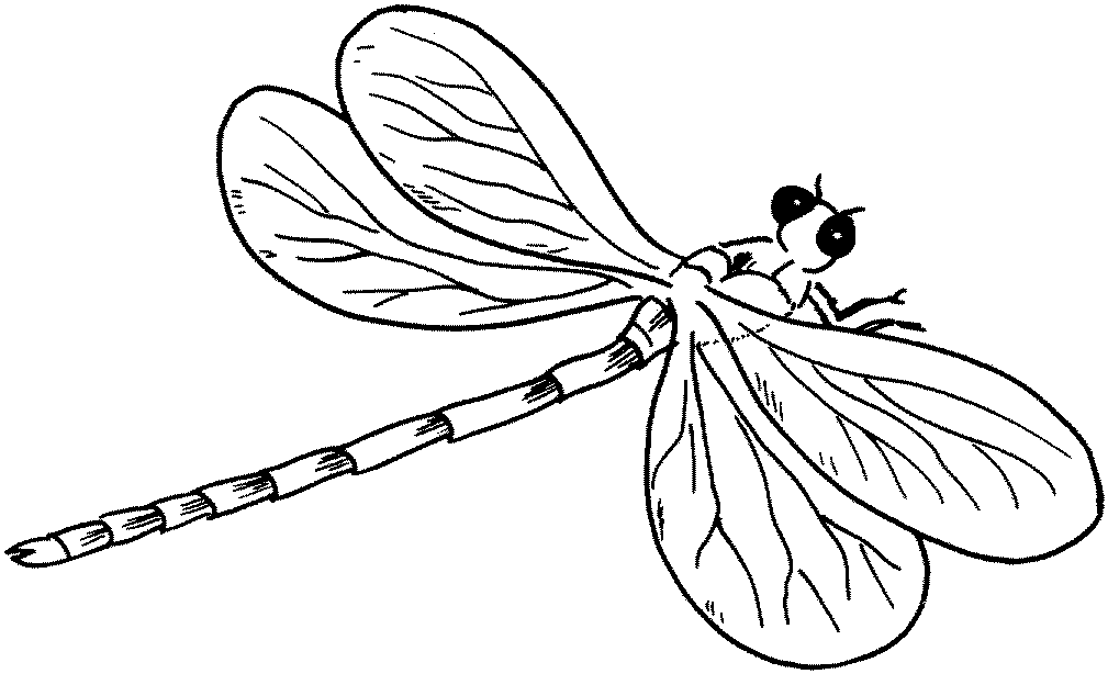 Free Printable Dragonfly Coloring Pages For Kids | Butterfly coloring page, Coloring  pages for kids, Coloring pages