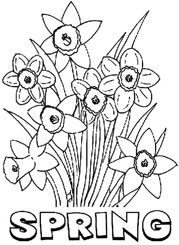 Spring season #246 (Nature) – Printable coloring pages