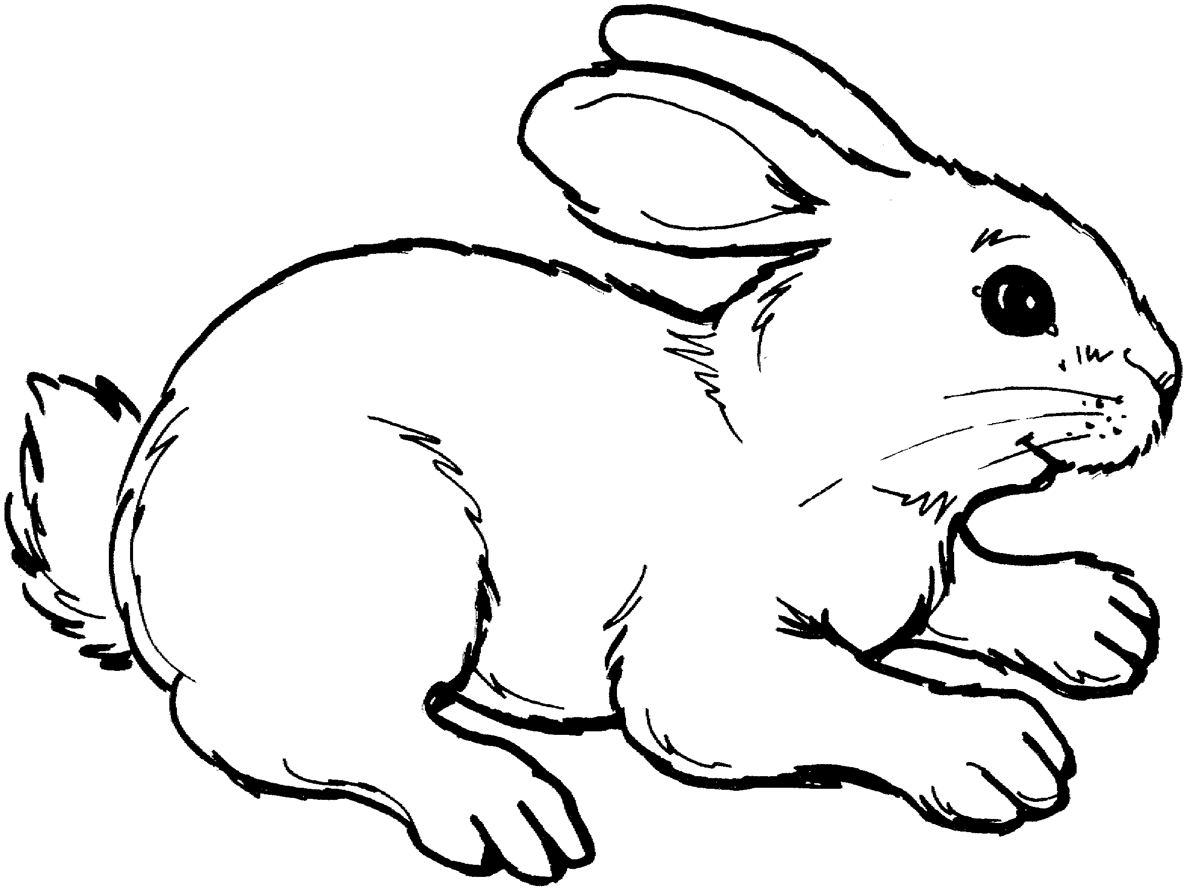 Bunny Jumping Coloring Page - Coloring Pages For All Ages