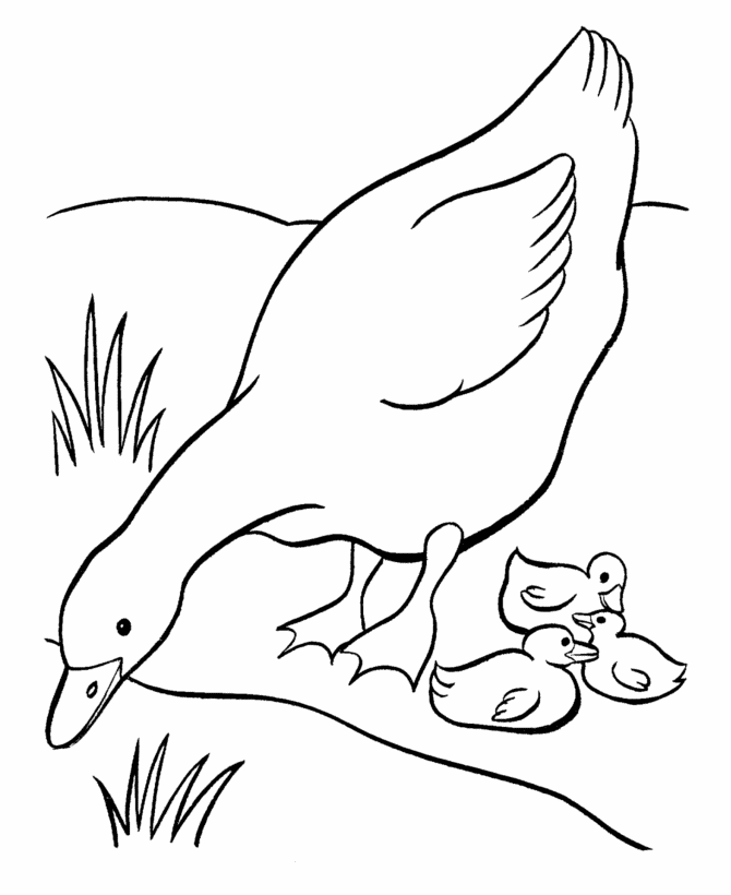 BlueBonkers: Free Printable Easter Geese Coloring Page Sheets - 21