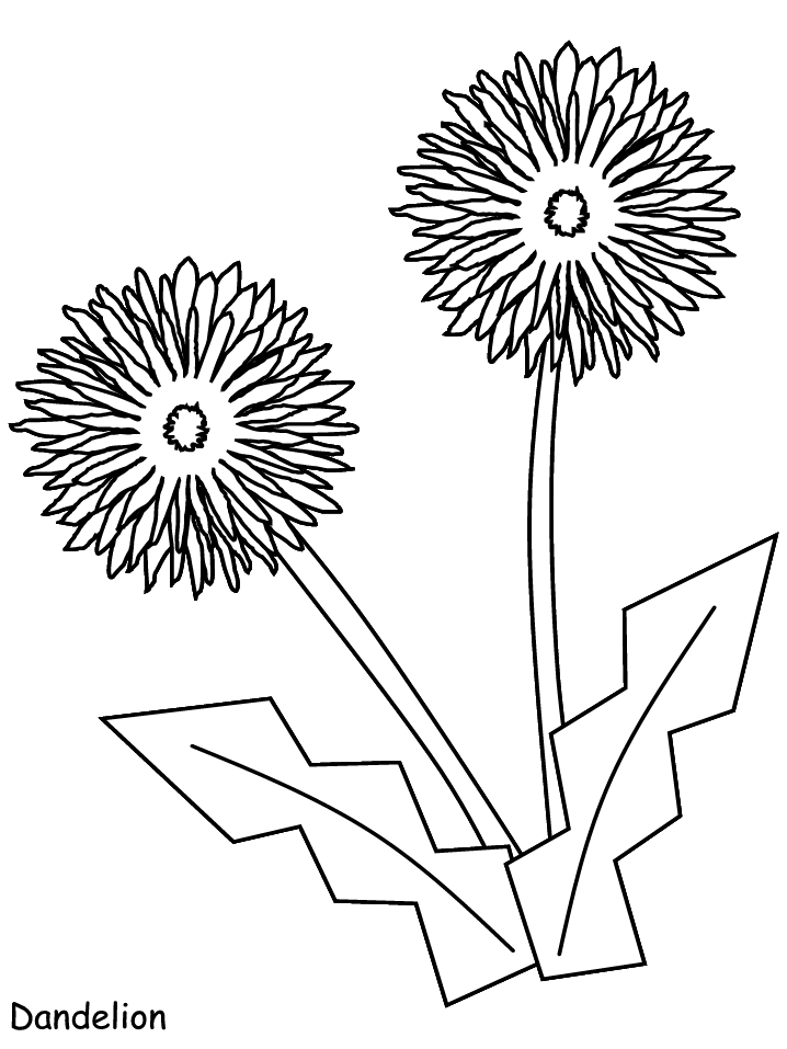 mum flower Colouring Pages (page 2)