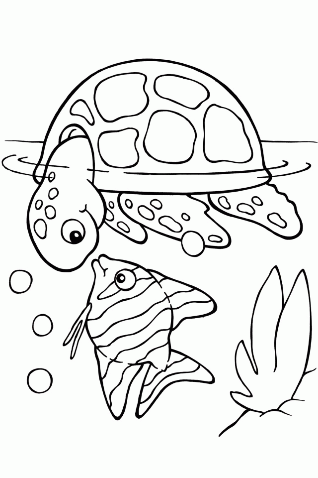 Viewing Gallery For Cute Turtle Drawing 3275 Sea Turtle Coloring Page