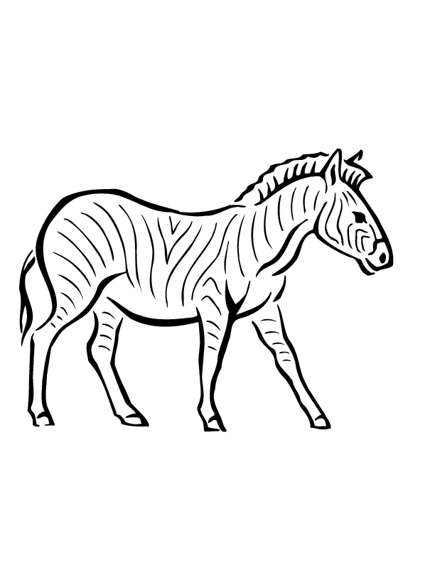 zebra printable coloring in pages for kids - number 2833 online