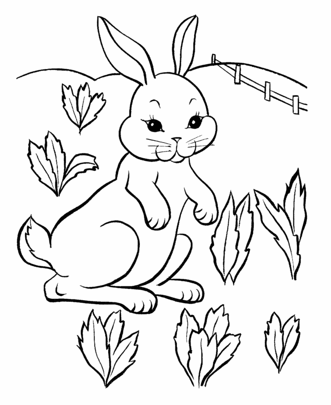cute animal rabbit coloring books sheet for kids drawing