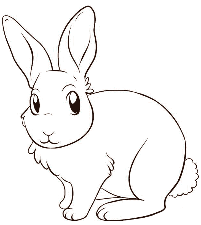 Download Cute Rabbit Color Pages To Print Or Print Cute Rabbit