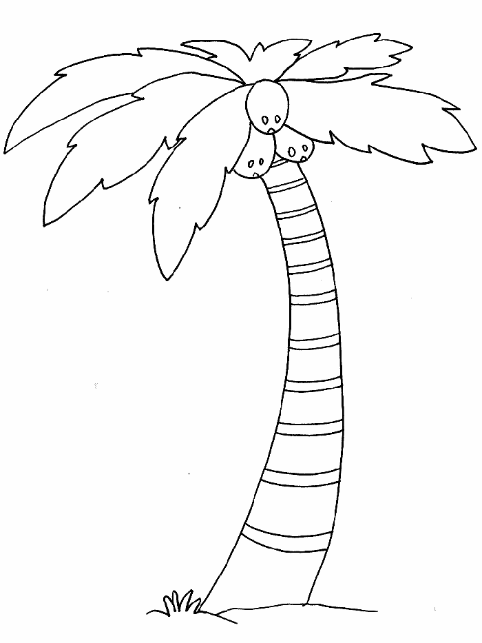Print Palm Tree Coloring Pages Com Images 1: Palm Tree