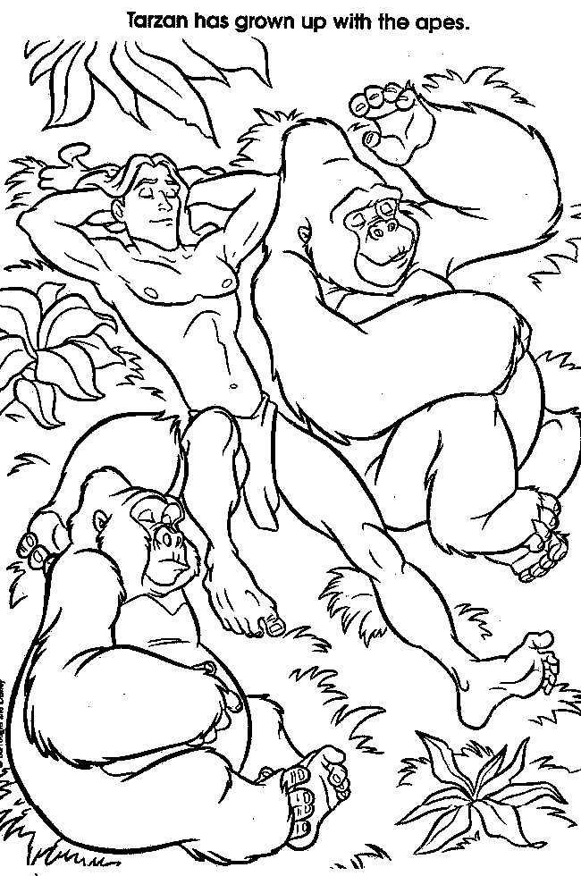 Tarzan Coloring pages