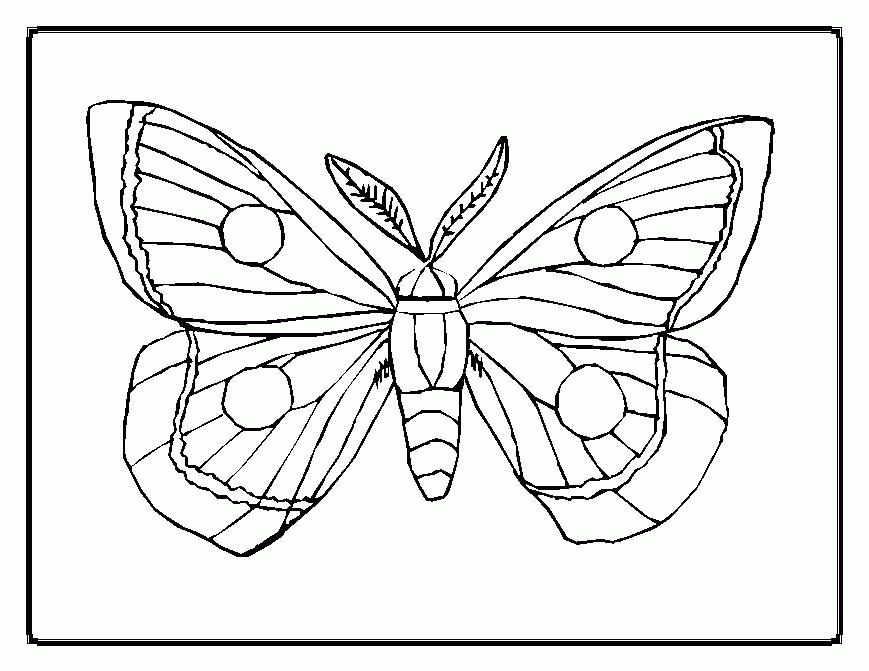 Coloring Pages Butterfly - Free Coloring Pages For KidsFree