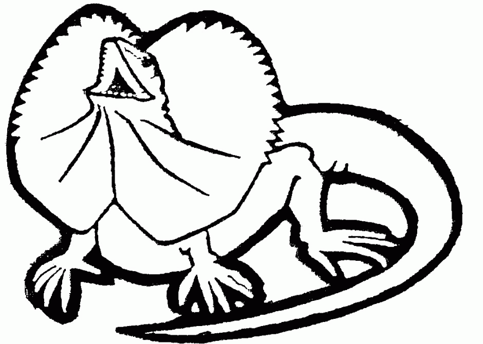 Flying Lizard Dragon Coloring Pages Flying Animals Coloring Pages