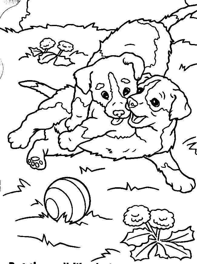 Blank Coloring Pages – 743×750 Coloring picture animal and car