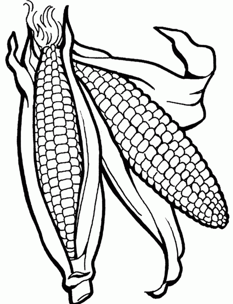 Corn Coloring Pages Printable Inspiration | ViolasGallery.com