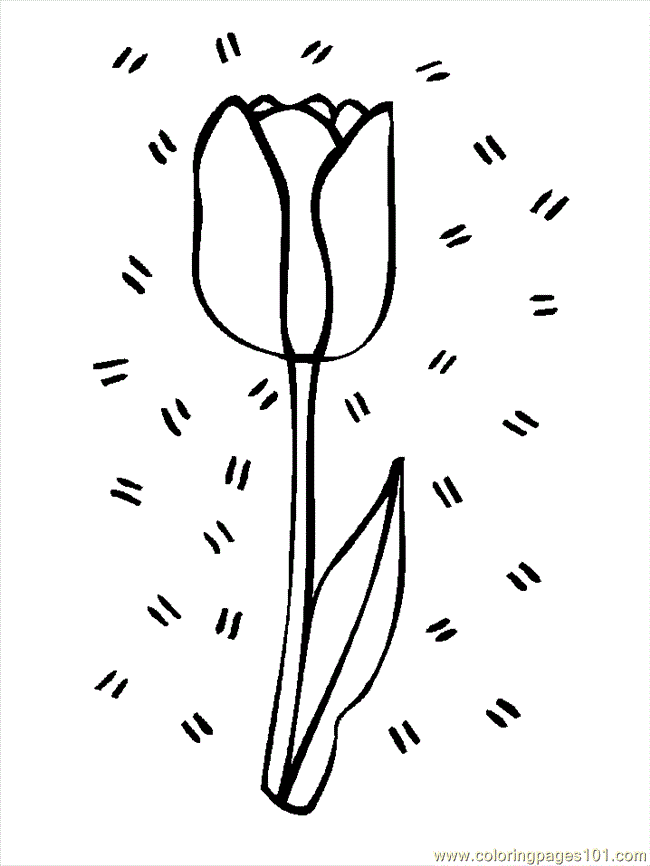 Flower Colouring Pages
