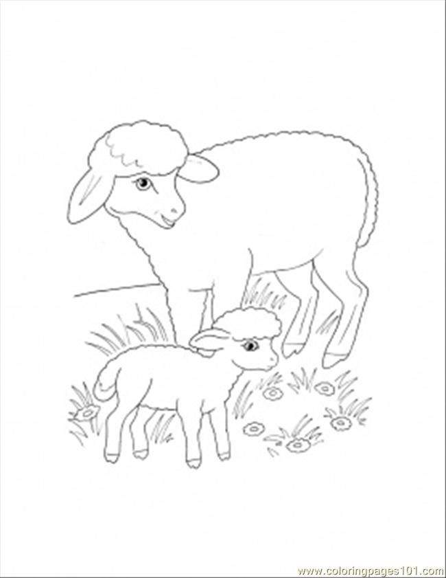 Coloring Pages Mother And Lamb Coloring Page (Mammals > Sheeps