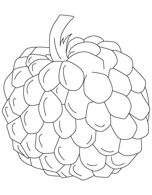 custated apple Colouring Pages