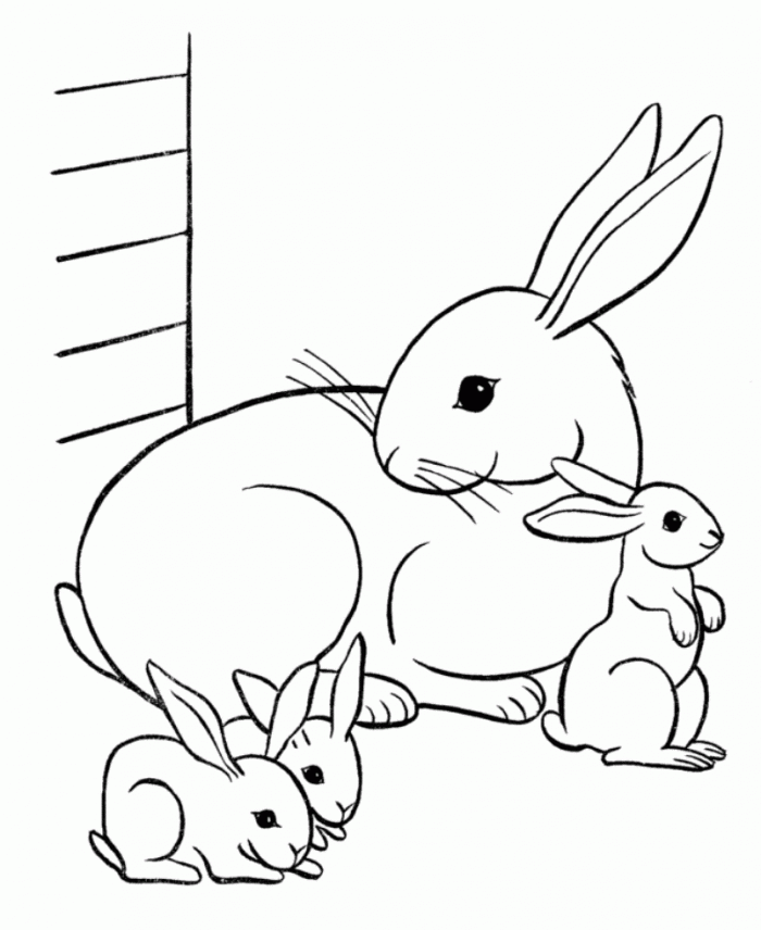 Cute Baby Sheep Little Duck Butterfly Animal Coloring Pages