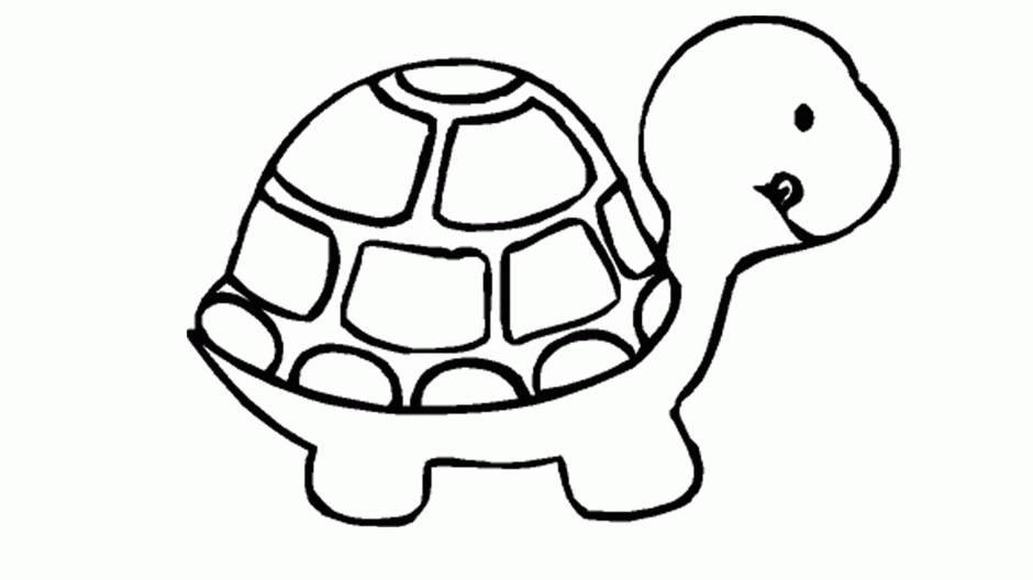 Turtle Coloring Pages For Kids Pictures Id 104012 Uncategorized