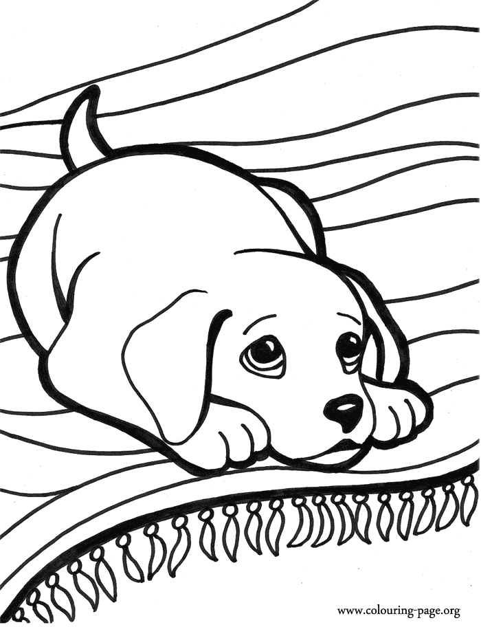 dogs and puppies little dog on the carpet coloring page