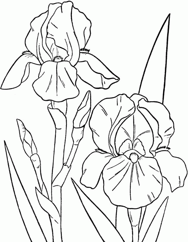 Spring Flowers Coloring Pages Kids - Spring day Cartoon Coloring
