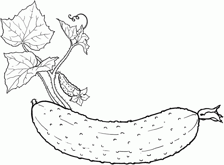 Grapes Coloring Printable Page For Kids Fruits And Vegetables