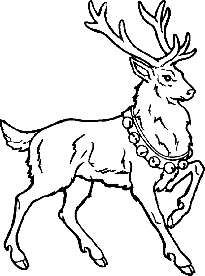 13 Christmas Reindeer Coloring Pages - 69ColoringPages.com