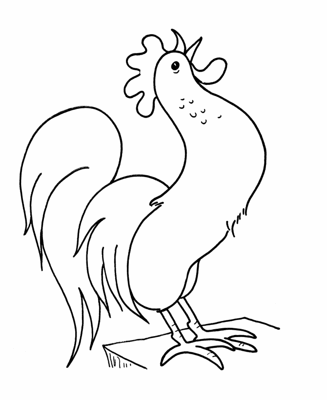 Learning Years: Rooster Coloring Page - Simple Shape