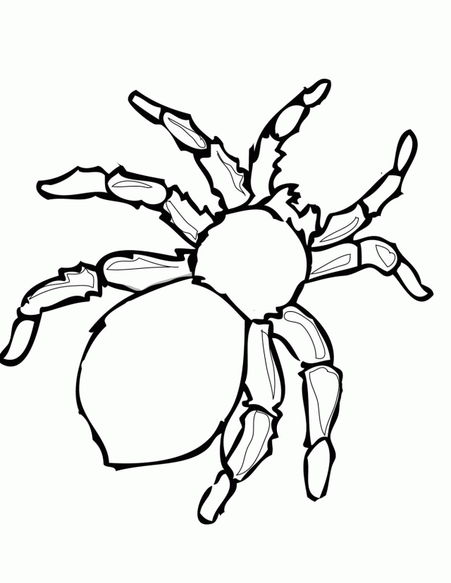 Free Printable Spider Coloring Pages Www Canrest Com Coloring