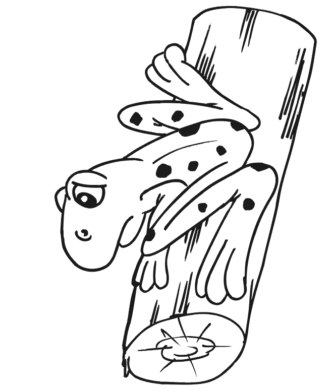 frog coloring picture sitting on log