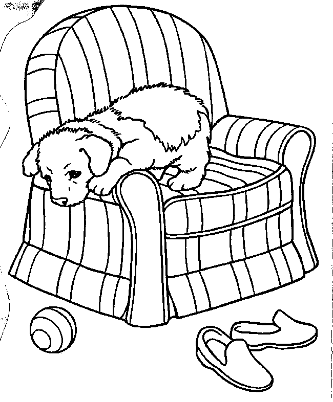 Puppy - Coloring Pages