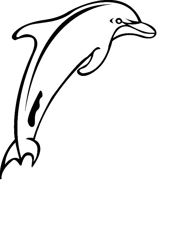 Coloring Page - Dolphin coloring pages 14